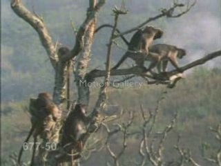 Y A TOUJOURS UN CON POUR T EMMERDER