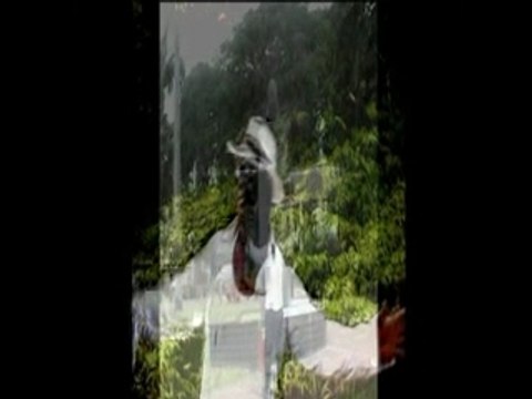 amel l'entrée des artistes francophones presente memory