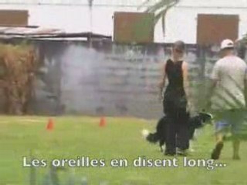 Obé-brevet bebop râté1 nov2008