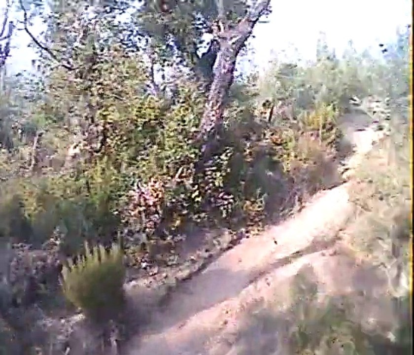 Roc d'Azur 2008 - Dernière descente