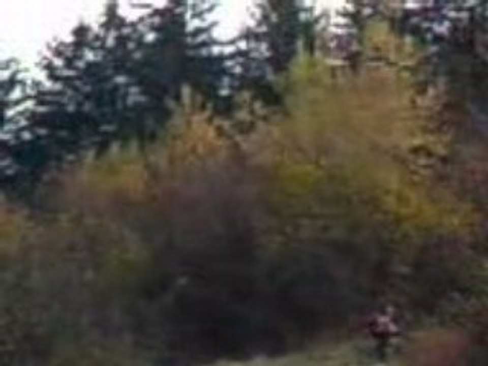 trip vtt