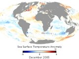 Anomalies des températures de surface des océans