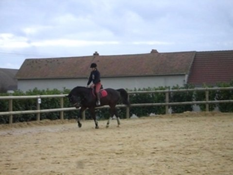 Philou sur le plat avec moi !