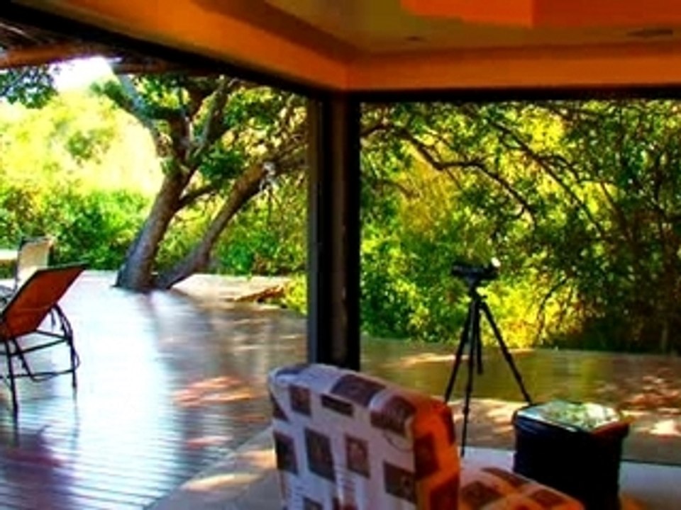 Shamwari Reserve