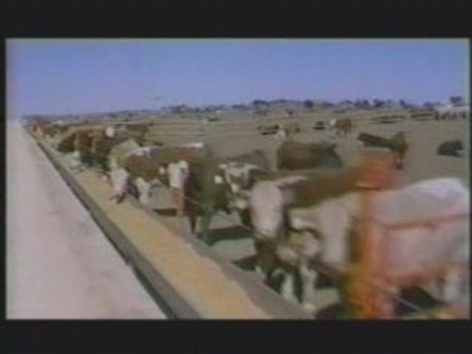 Meat The Facts - On Global Warming