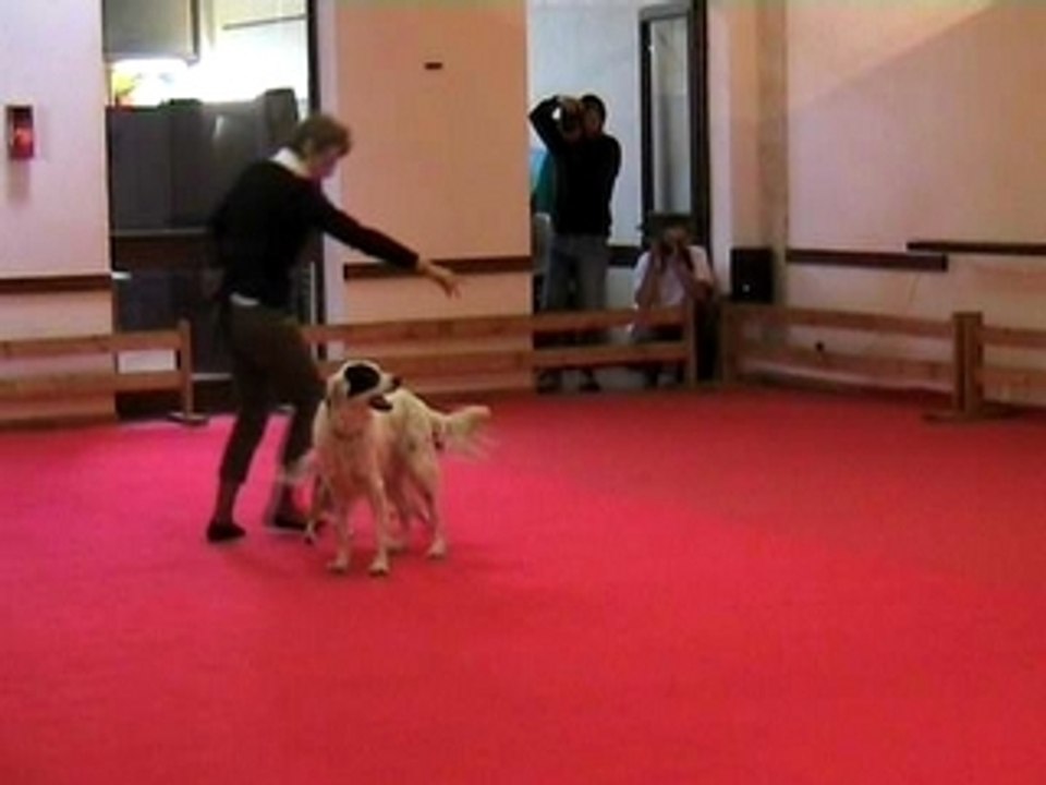 Chien13-passage1-[obe-remoulins-25-10-08]