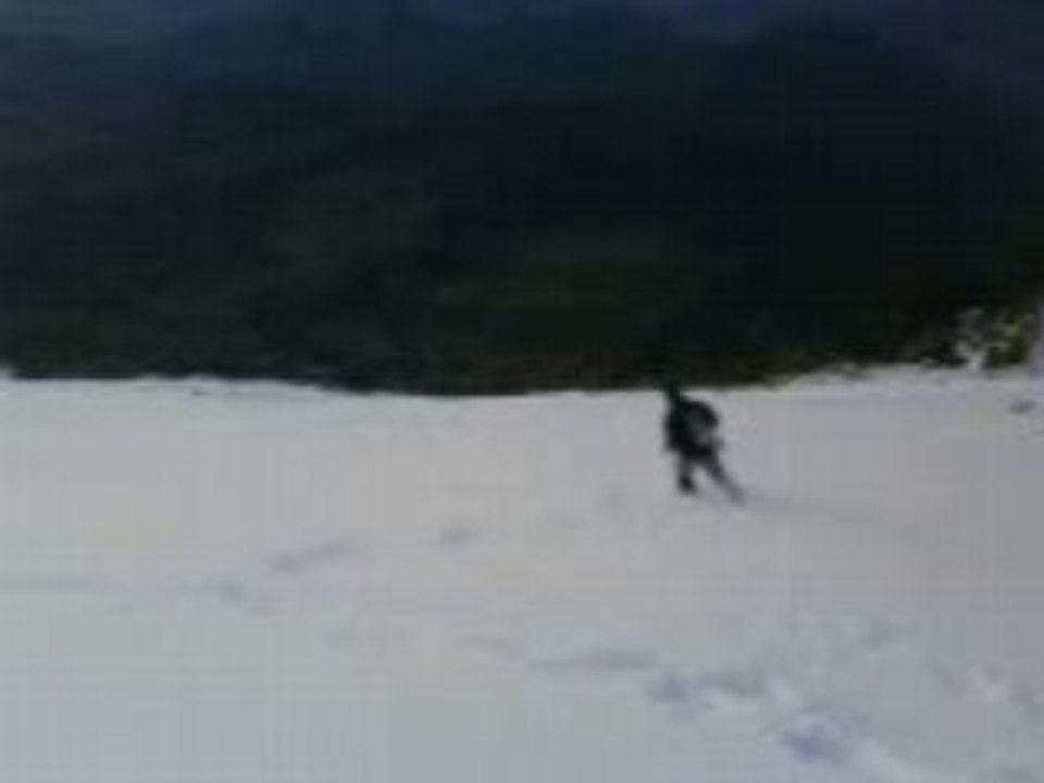 MOV00289