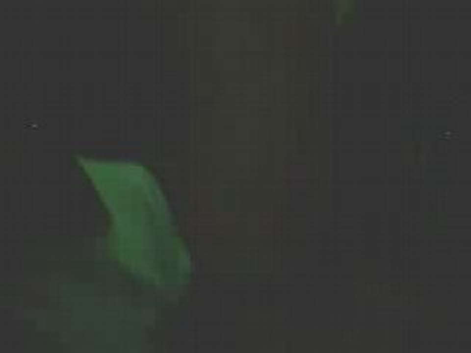 beatboxer amateur