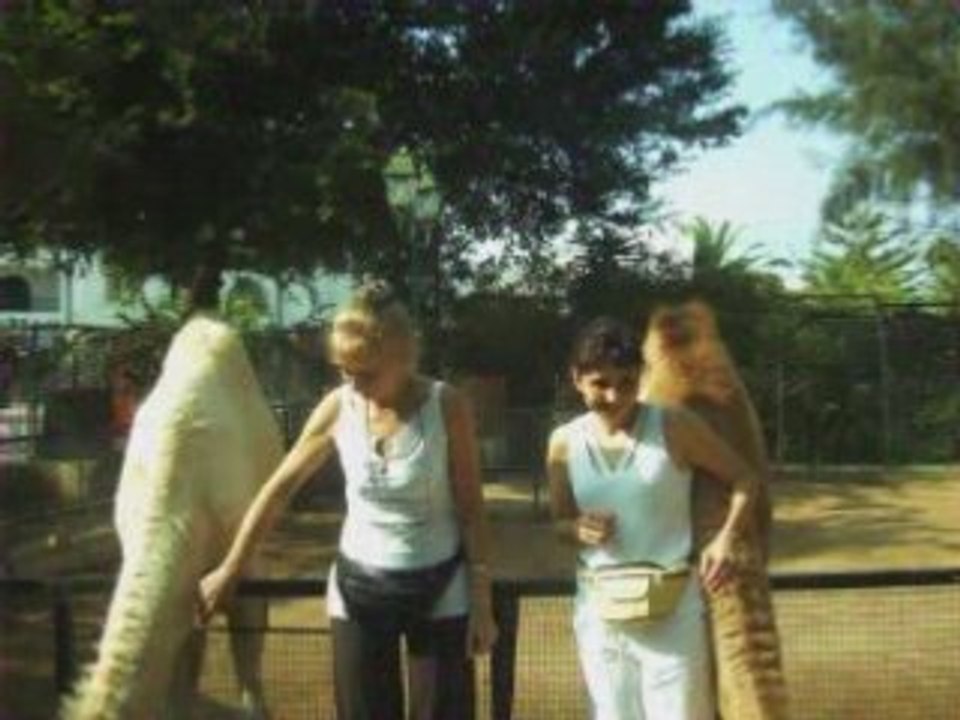 VACANCES EN TUNISIE.