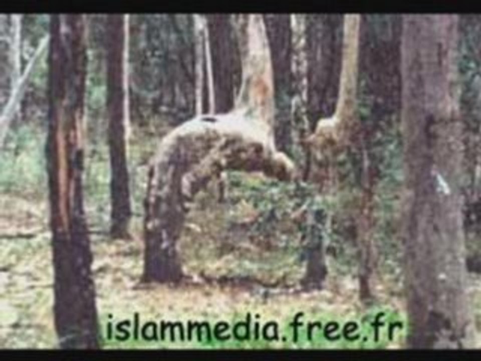 Allah le tout miséricordieux le trés miséricordieux