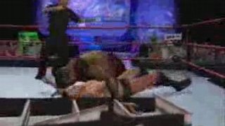 Smackdown Vs. Raw 2009: Ladder Match (PS2)