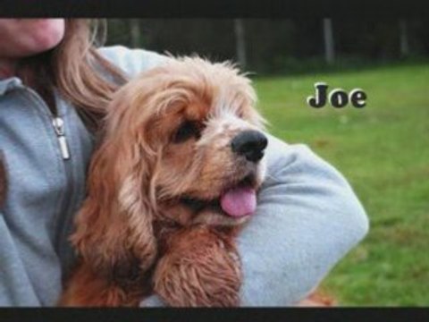 Semaine 45 2008 au refuge de Beauregard