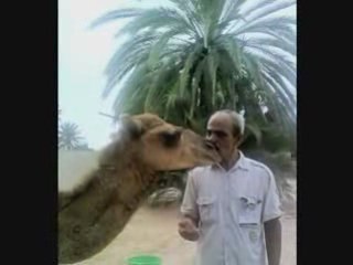 ClubMarmara x'3 Tunisie (djerba )