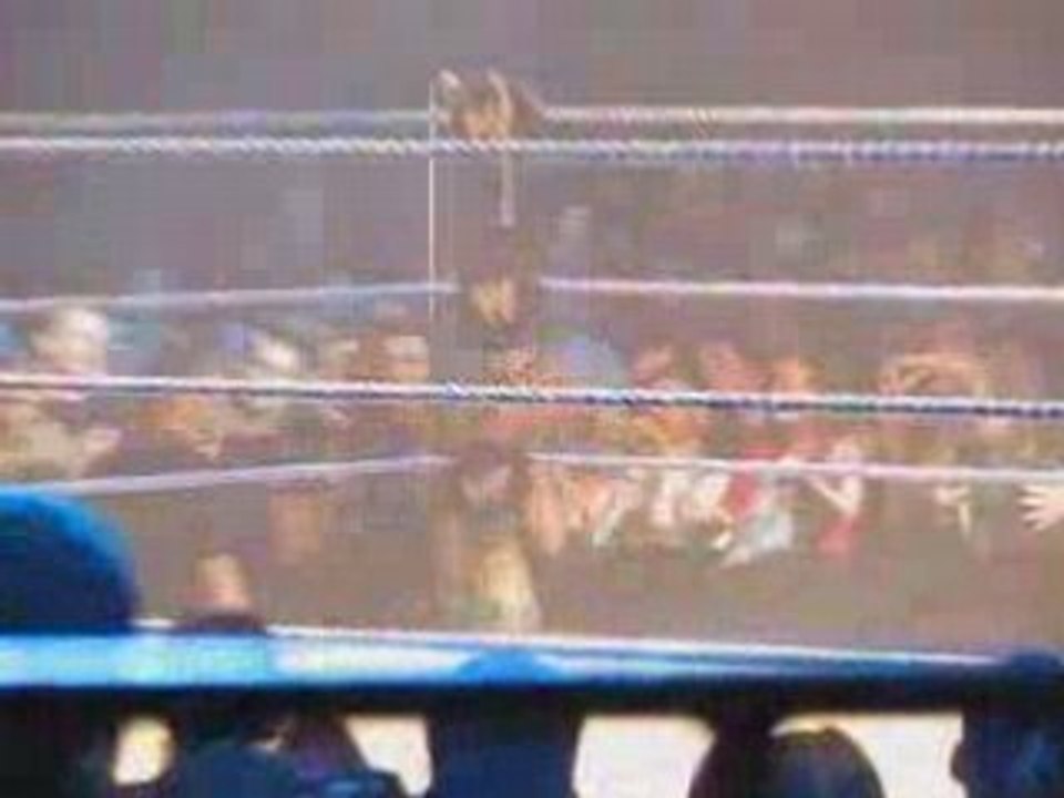 Natalya & Maryse vs Michelle Mc Cool & Maria