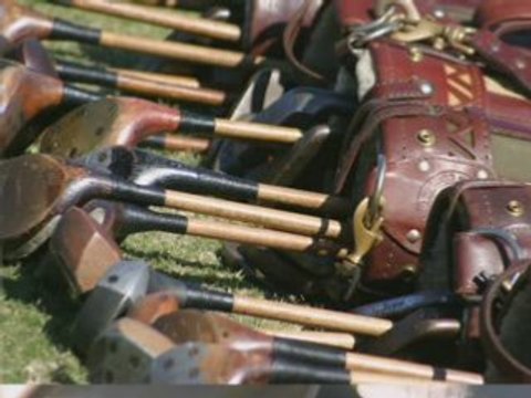 Georgia Events and Festivals 4508