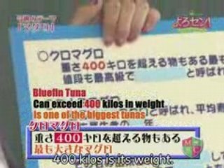 Yorosen! 016 (2008-10-27) sous-titres anglais