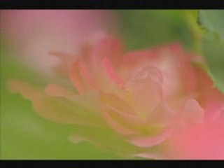 But Beautiful - Vladimir Shafranov