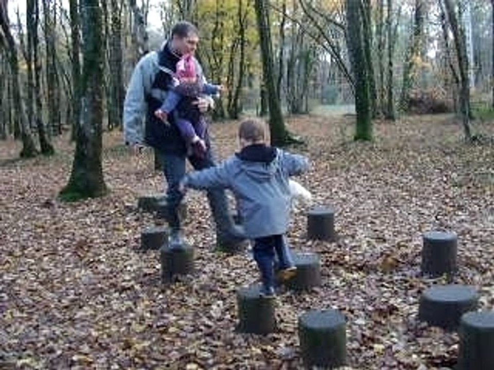 Ballade en foret 011