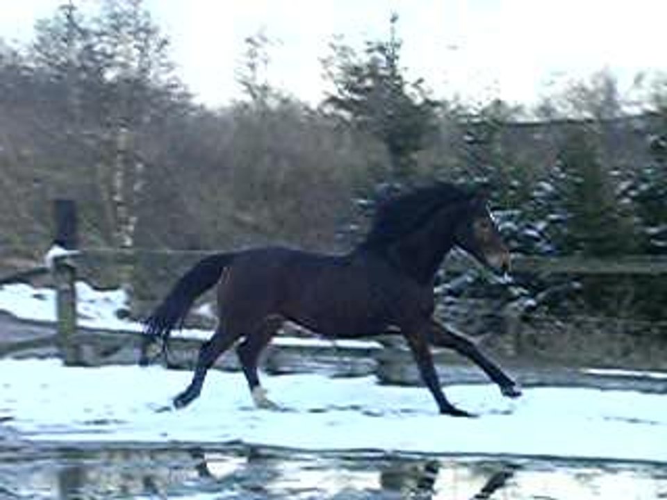 jeinsch piste