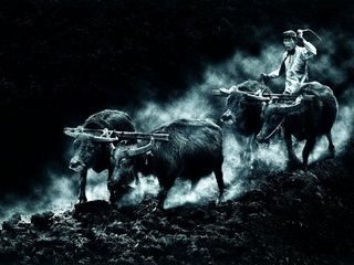 TULLE SALON INTERNATIONAL PHOTO 2008 RECOMPENSES