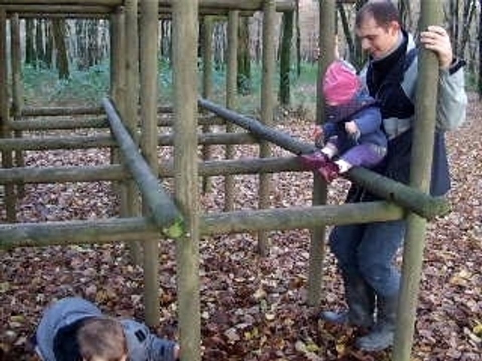 Ballade en foret 013