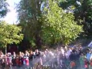 Tirs d'artillerie (spectaculaire !)