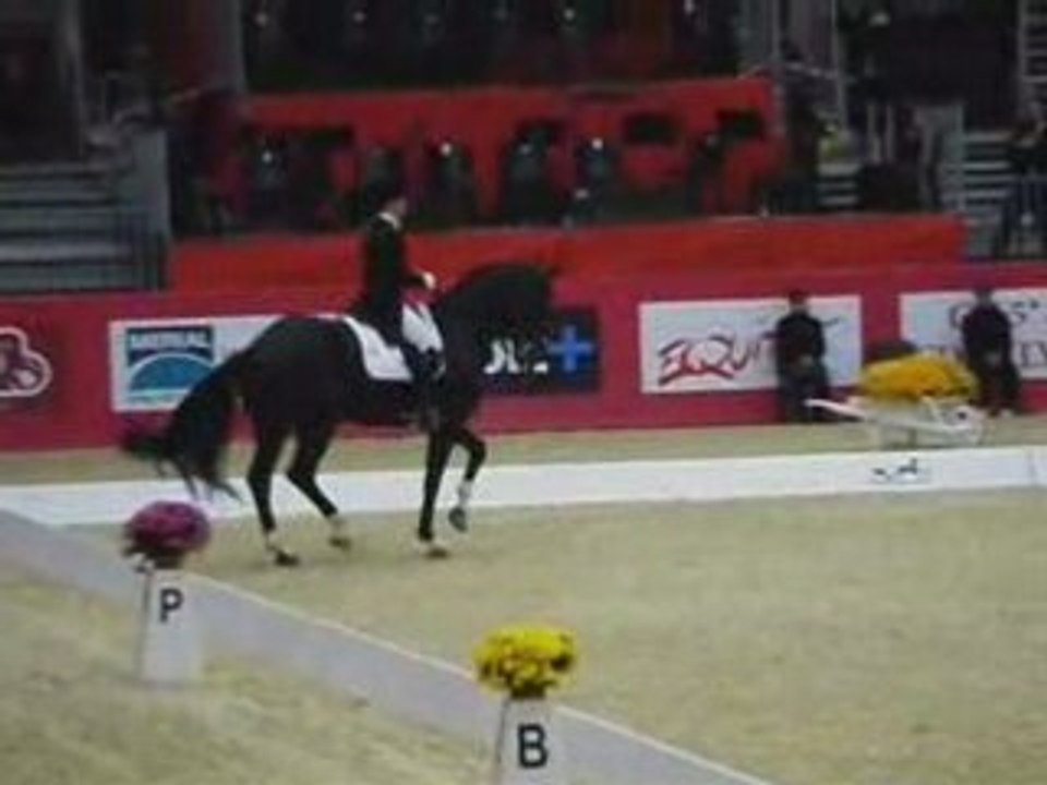 RLM de C. Haddad (usa)