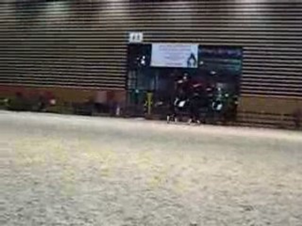 CDI***** Équita' 2008