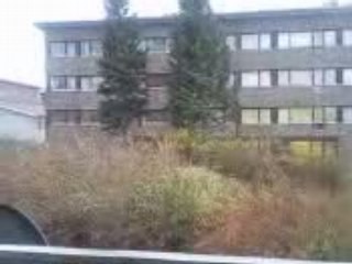 blås