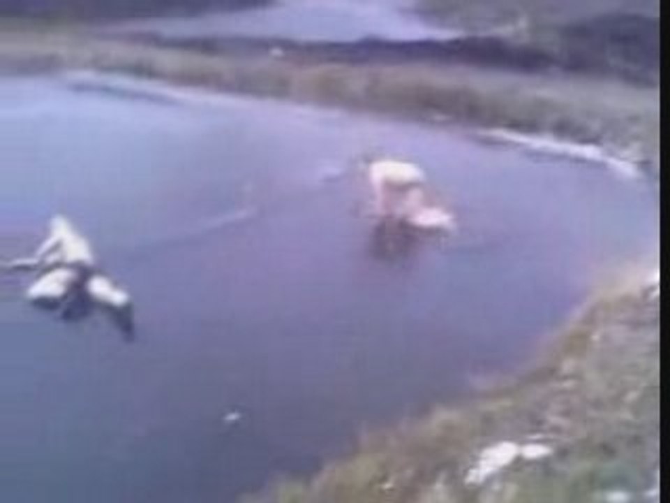 le saut de l'ange