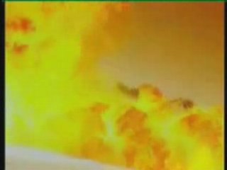 Lamb to the Slaughter?