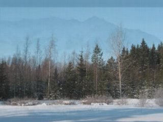 зима