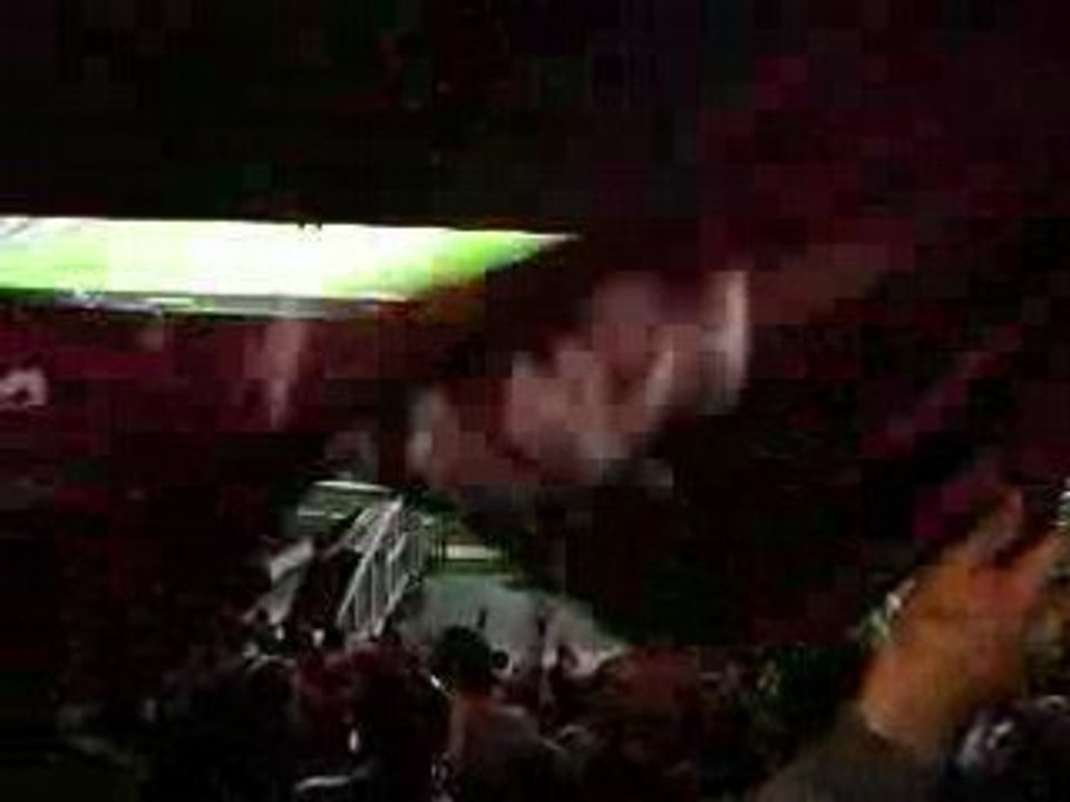 Torino FC - Palermo (n°11)