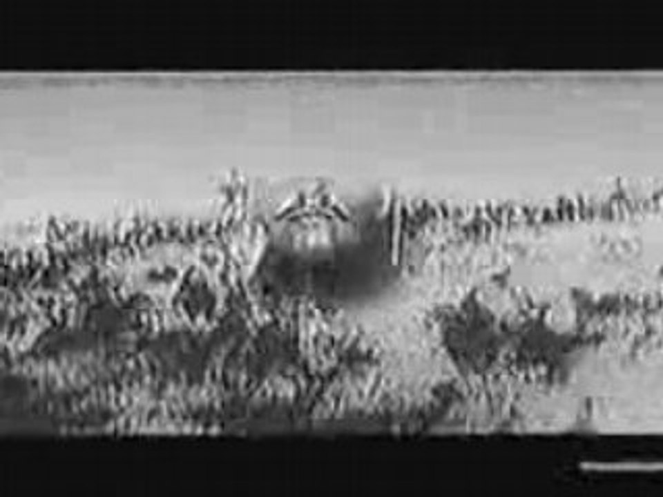 Vidéo   LE NÉGUS Part #2 (Étoiles-1990)