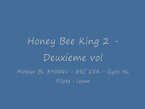 Honey bee king 2 - Deuxieme vol .. (et crash)