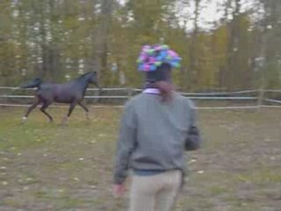 Galilée et joly