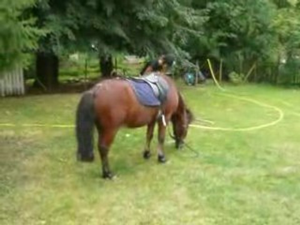 Pompon & Mwa Plus Une Petite Chute =Pp