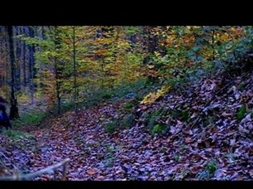 CTD8 - Fall (part one)