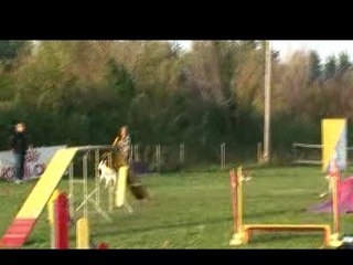 bambou mouriès open part 2