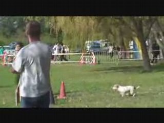 Brooklin mouriès open