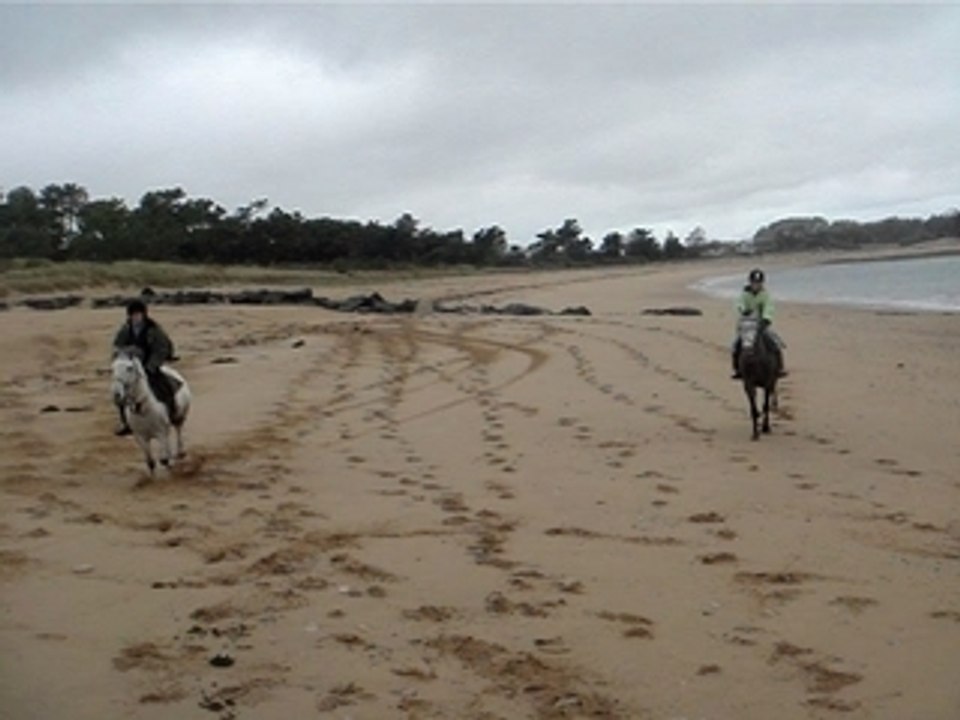 THE COURSE