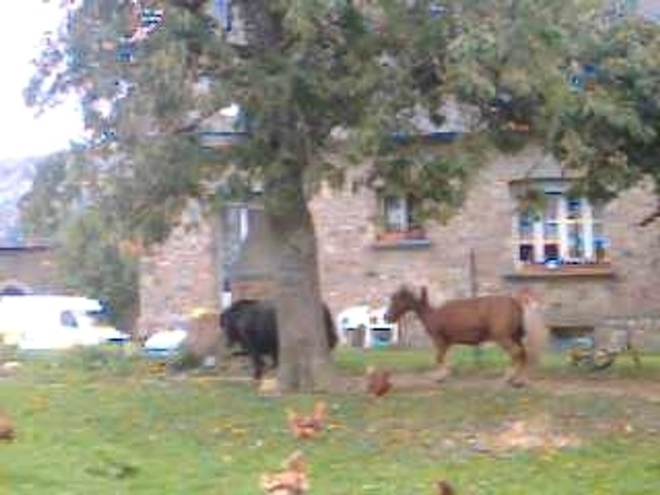 Laura neskuik famille amis 088