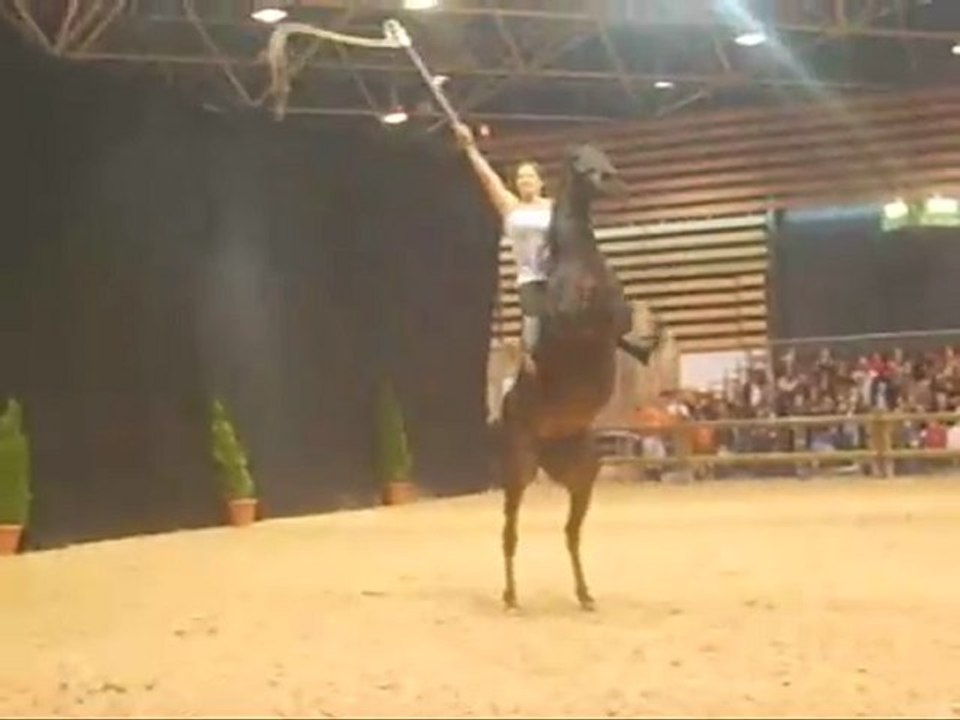 Equita' Lyon 2008