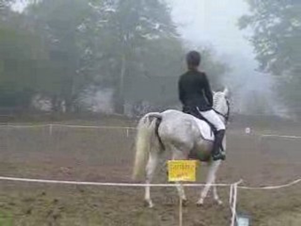 Nora reprise de dressage club poney 1 CCE