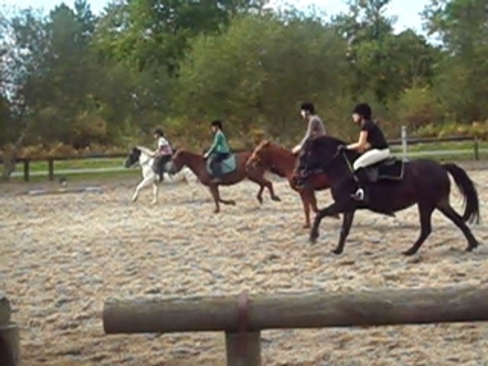 Moi cheval la gourmette