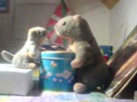 QUI VEUT GAGNER DES CORNICHONS !!!