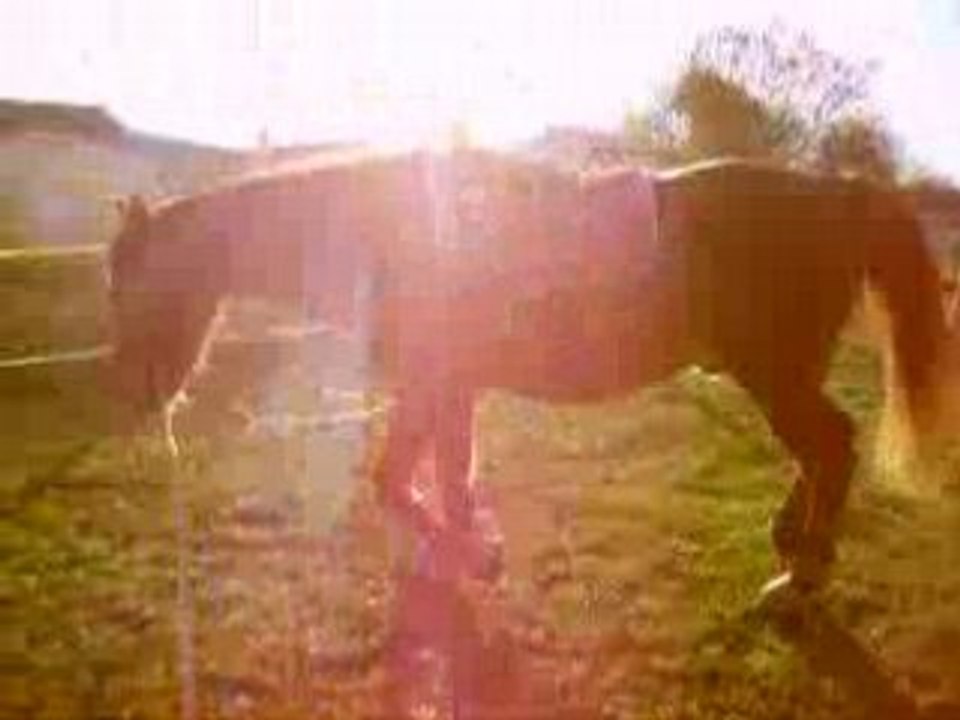 loulou seance de longe