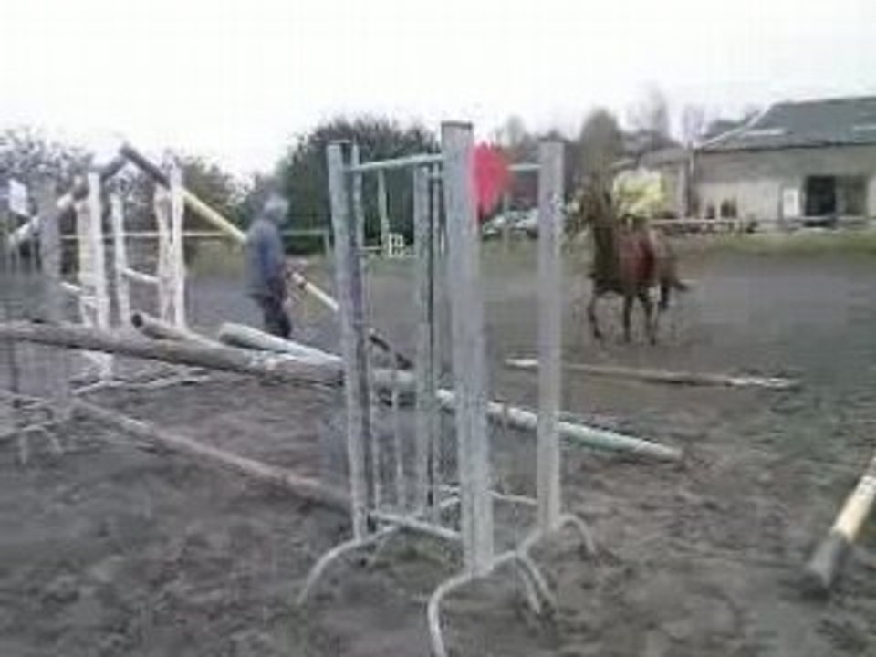 Moi&Phénix3