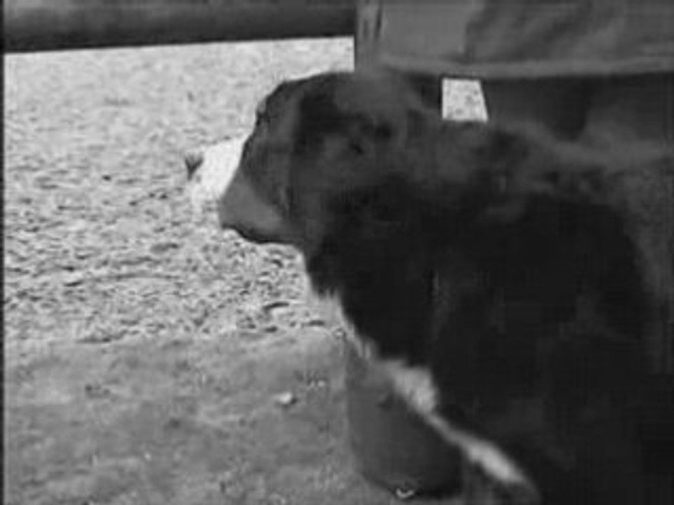 TEQUILA NOV DEUX MILLE CINQ