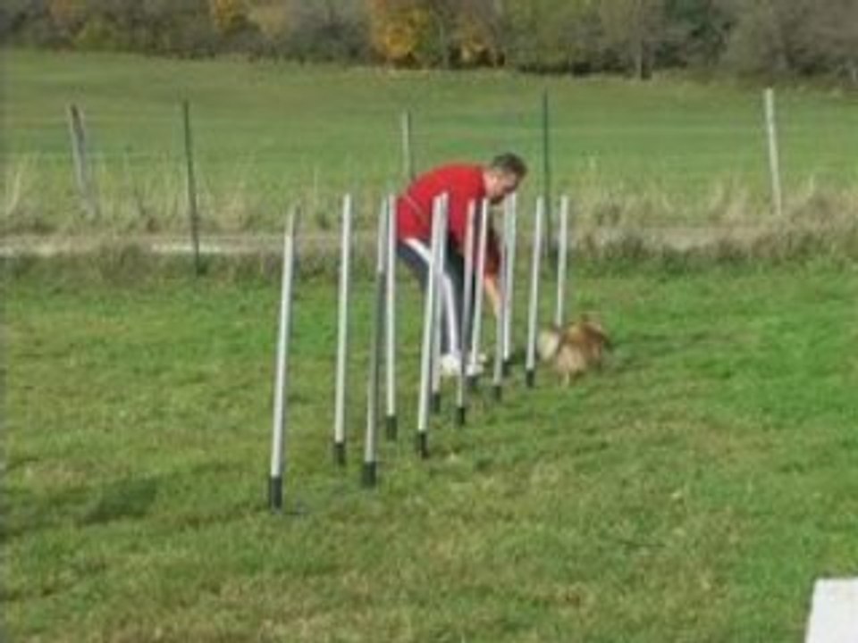 Agility-Cala-Couloir au club